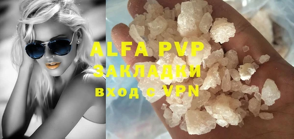 прущие грибы Заводоуковск