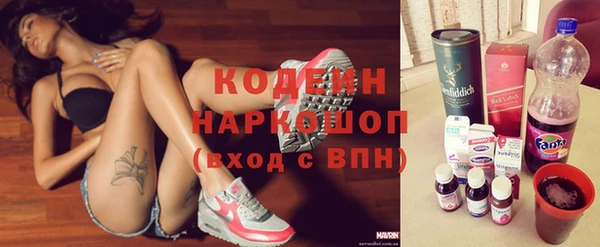 прущие грибы Заводоуковск