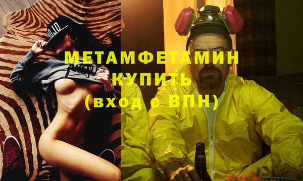 прущие грибы Заводоуковск