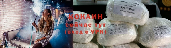 прущие грибы Заводоуковск
