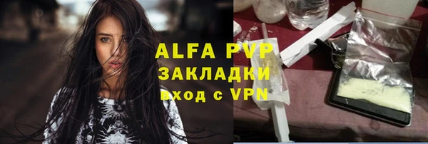 прущие грибы Заводоуковск