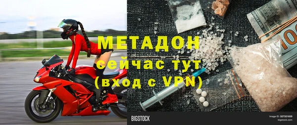 прущие грибы Заводоуковск