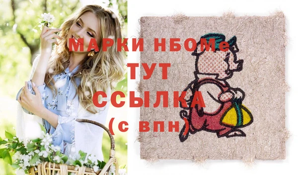 прущие грибы Заводоуковск