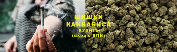 прущие грибы Заводоуковск