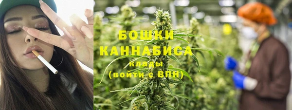прущие грибы Заводоуковск