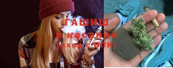 прущие грибы Заводоуковск